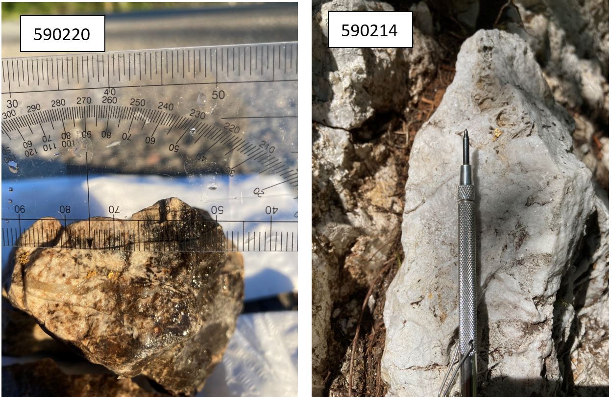 ethos-gold-2021-rock-grab-samples