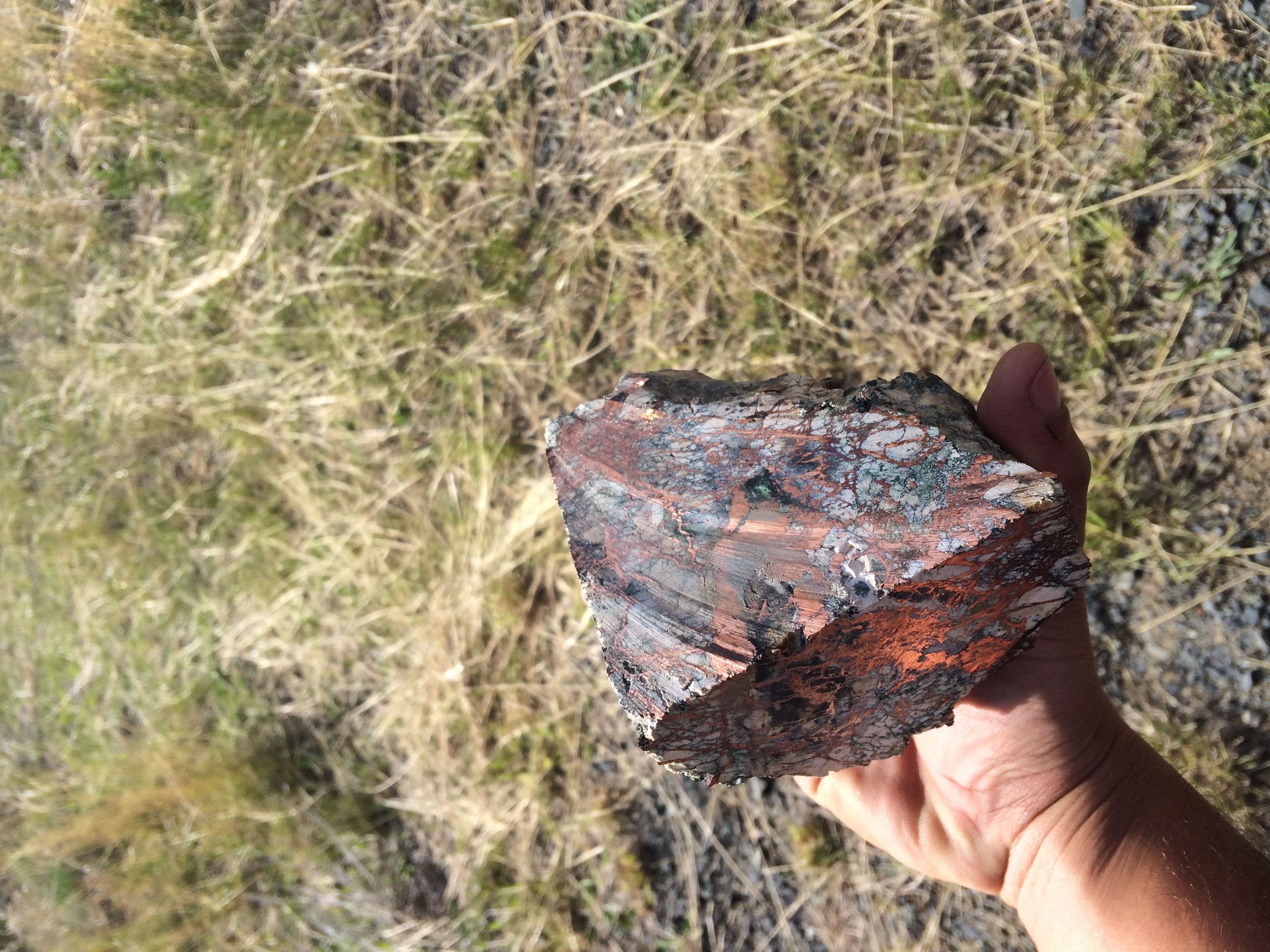 Rock sample from Madison Copper-Gold Project — Montana, USA