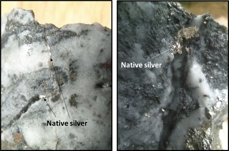 outcrop-native-silver.jpg