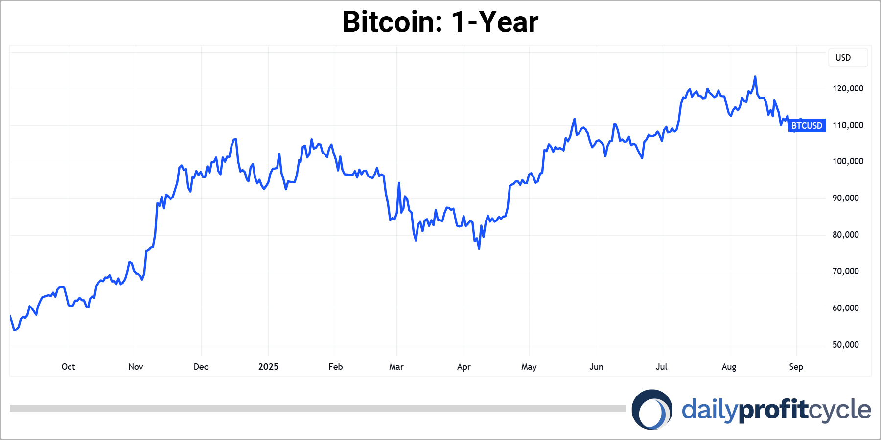 Bitcoin 1 year chart