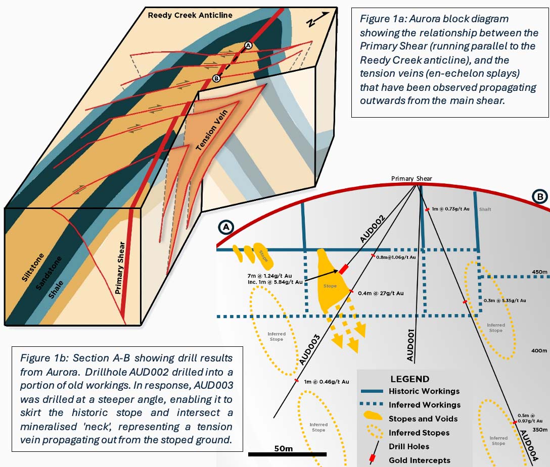 Reedy Creek drilling diagram