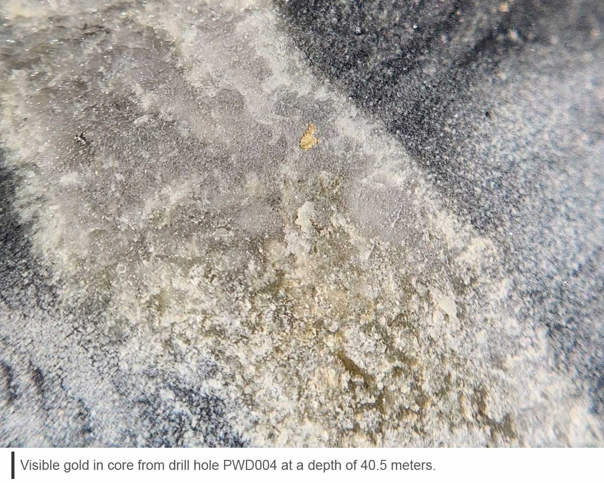 visible gold in quartz vien