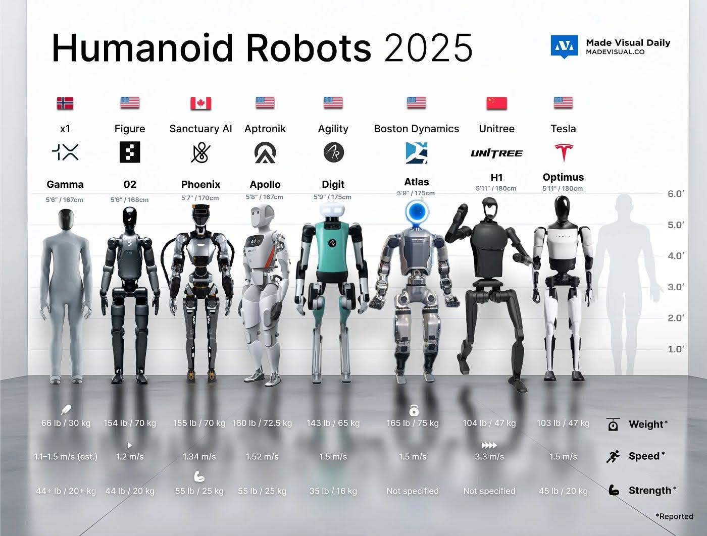 Humanoid Robots 2025