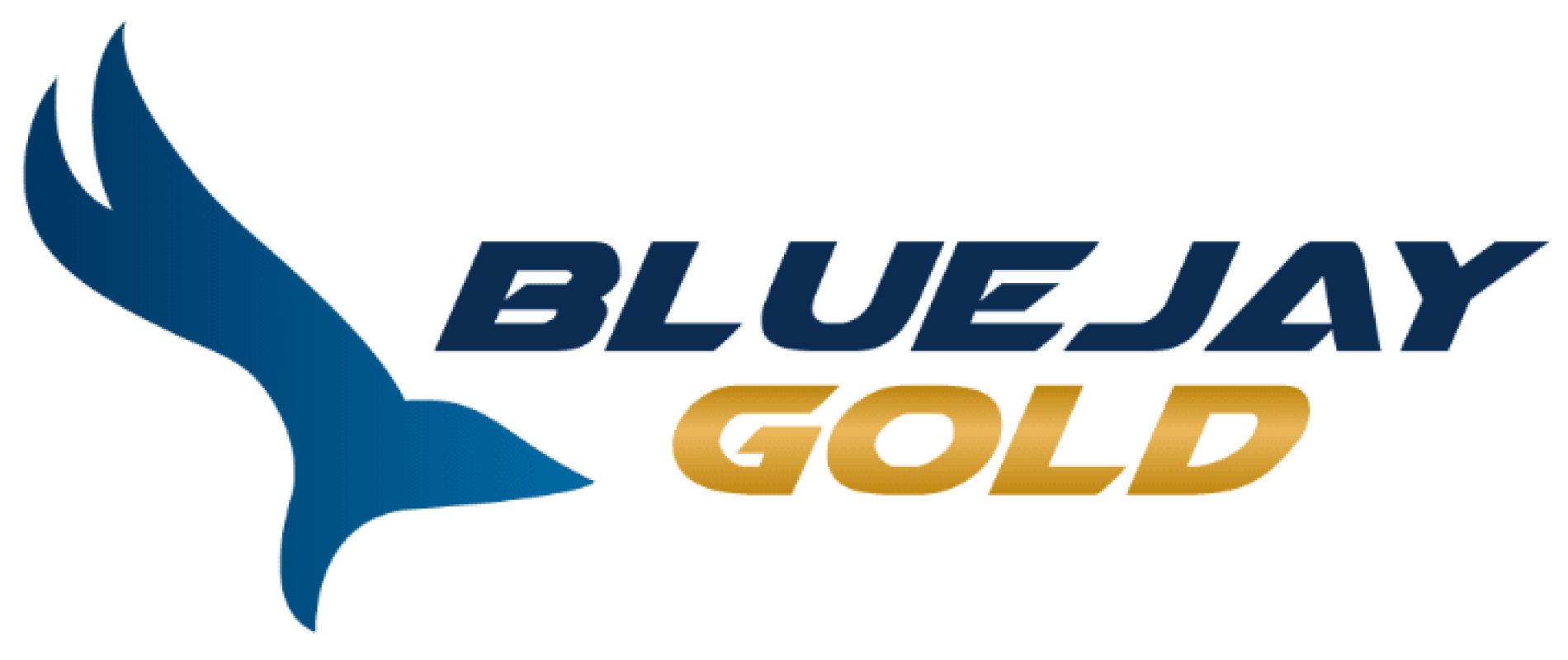 Blue Jay Gold